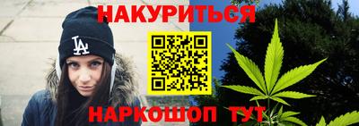 сатива Нарткала