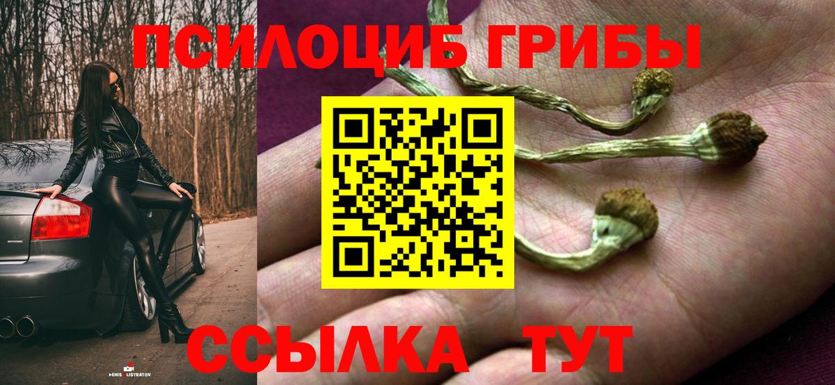 Галлюциногенные грибы мухоморы  Вход с VPN  Галлюциногенные грибы Magic Shrooms  Дятьково 